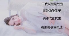 上海借卵生子机构一次成功率有多高？