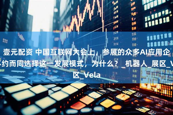 壹元配资 中国互联网大会上，参展的众多AI应用企业不约而同选择这一发展模式，为什么？_机器人_展区_Vela